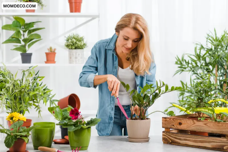 add indoor plants for a fresh look