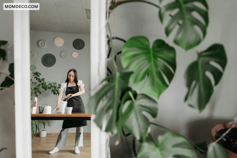 bring nature indoors in creative ways