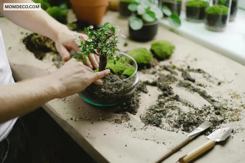 build a proper drainage layer
