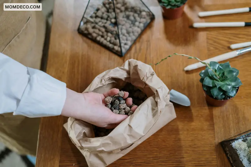 choose the right substrate mix for plant health