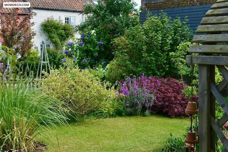design a budget-friendly garden makeover