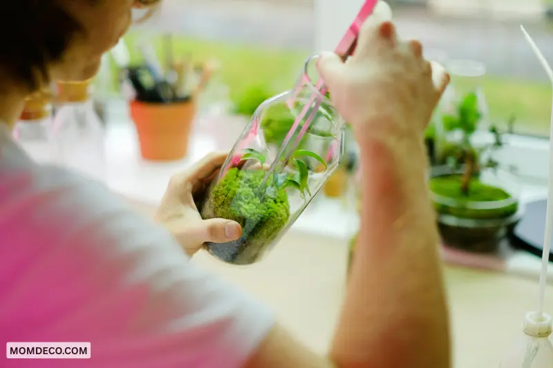 rotate your diy terrarium for even growth