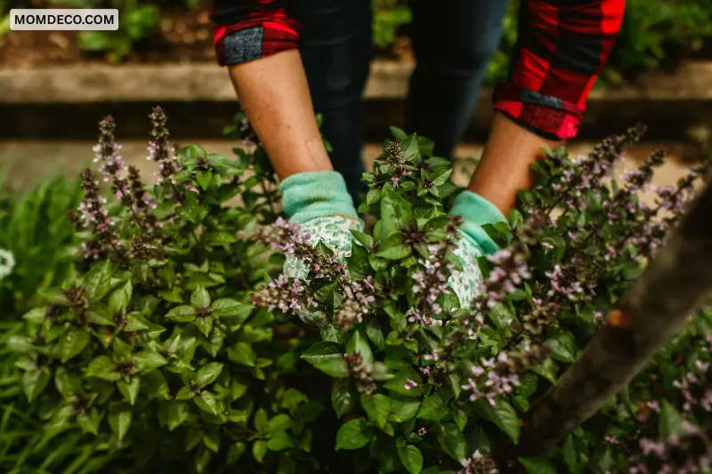 select the right plants for a healthy ecosystem