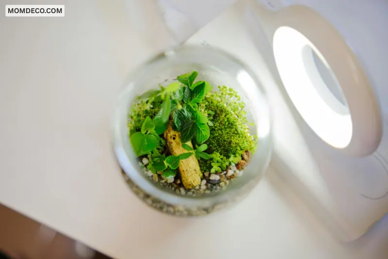 use activated charcoal for a healthier ecosystem